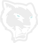 Sportunion z+p St. Pölten Logo